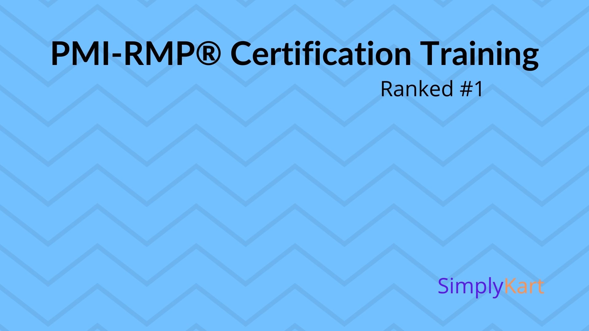 PMI-RMP® Certification