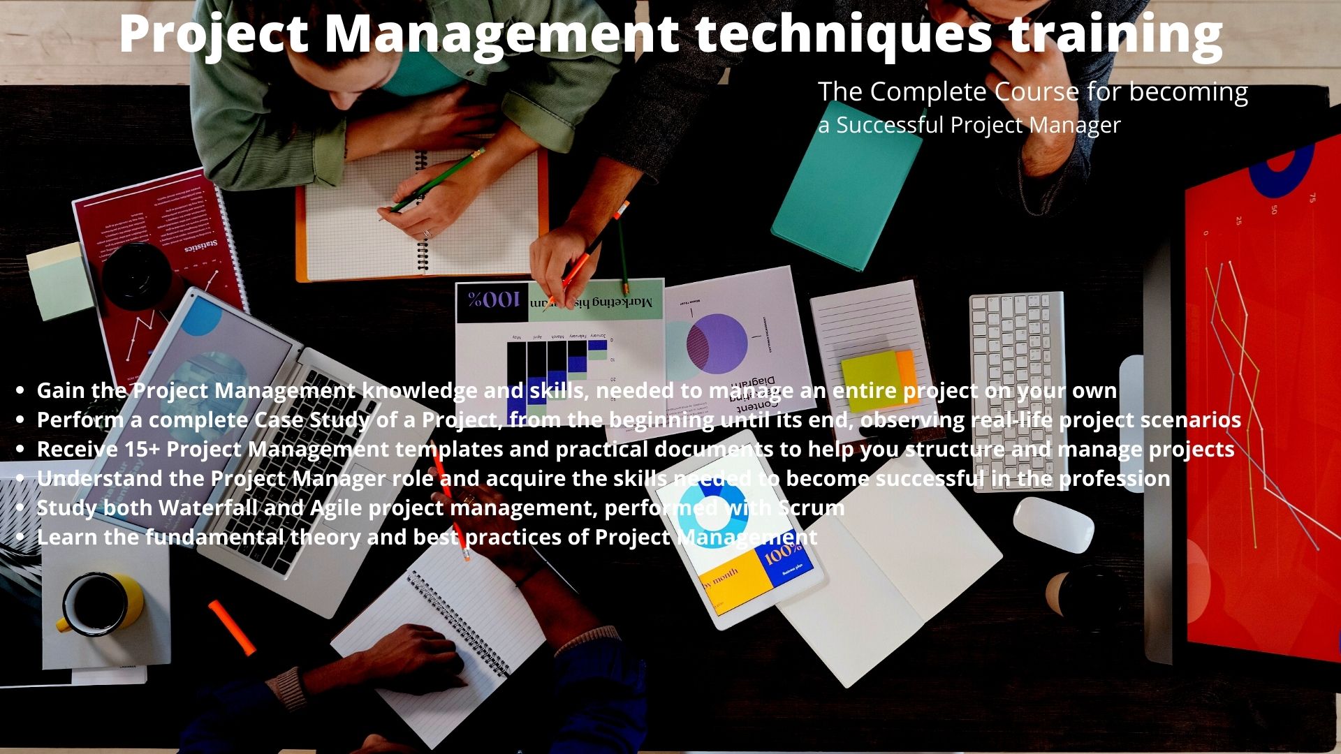 Project Management techniques training