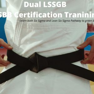 Dual LSSGB and LSSBB training Previous Next Dual LSSGB and LSSBB Training