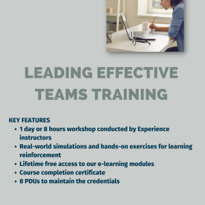LEADING EFFECTIVE TEAMS TRAINING